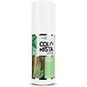 L'Oréal Colorista Spray 1-Day Mint