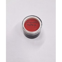CERONE IN CREMA PHITOMAKE-UP  gr3